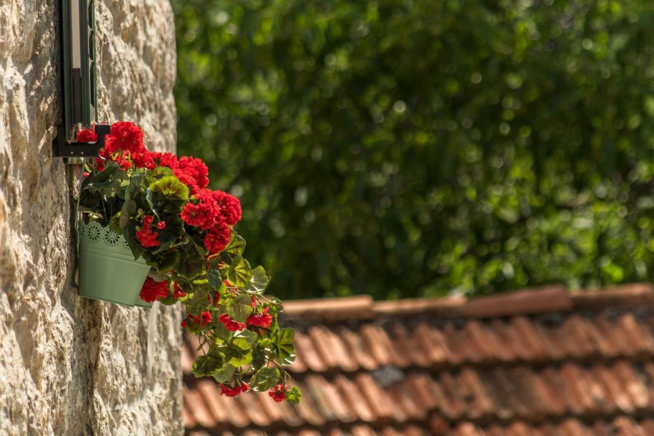 Holiday Home Godinj Donje Rascane Ngoại thất bức ảnh